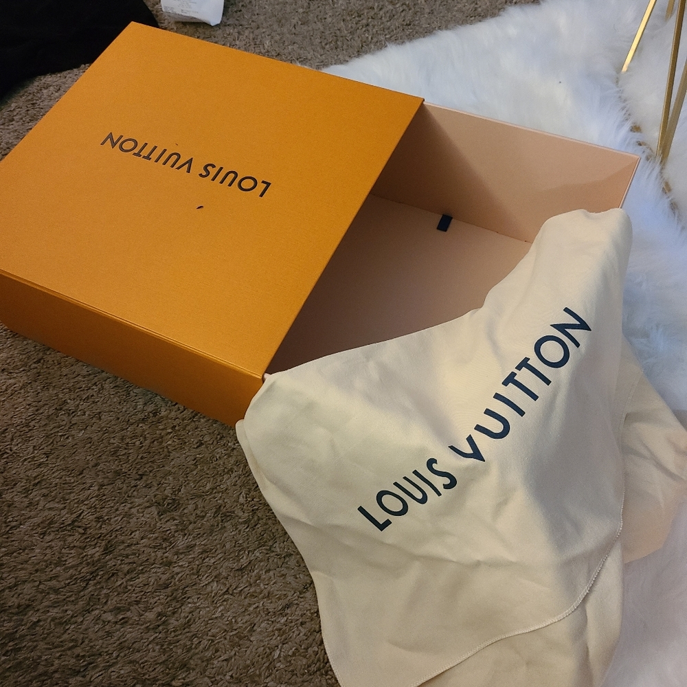 Louis vuitton dustbag